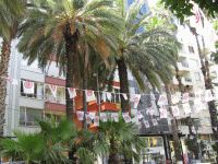 Vėliavėlės ir palmių grožis Antalijos mieste